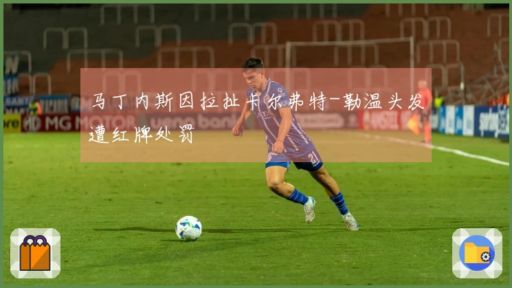 马丁内斯因拉扯卡尔弗特-勒温头发遭红牌处罚