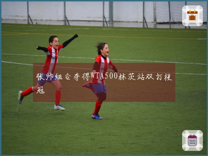 张帅组合夺得WTA500林茨站双打桂冠