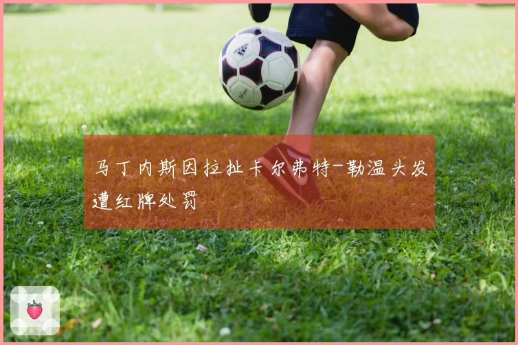 马丁内斯因拉扯卡尔弗特-勒温头发遭红牌处罚